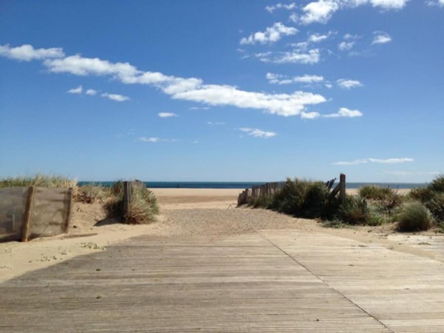 Proche De La Saint-Pierre-la-Mer (Aude)